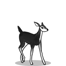 淘宝发卡靠谱的{固定网站名称23}