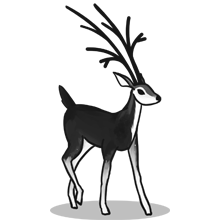 怎么去攻击一个网站与防护